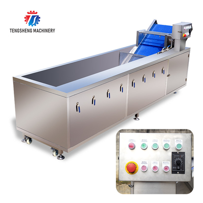 Sludge Stripping Kumquat Fruit Vegetable Washing Machine Water Pump Surfing