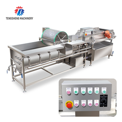 1000KG/H Vegetable cleaning equipment 304 stainless steel eddy current vegetable washing machine vibration drain machine