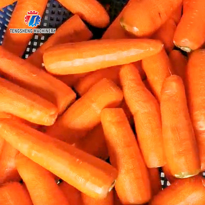 110KG Factory direct 304 stainless steel carrot peeler vegetable processing canteen factory