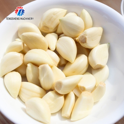 90KG Restaurants Power Saving Garlic Processing Machine Airflow Generation Garlic Sorting