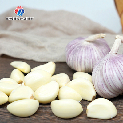 90KG Restaurants Power Saving Garlic Processing Machine Airflow Generation Garlic Sorting