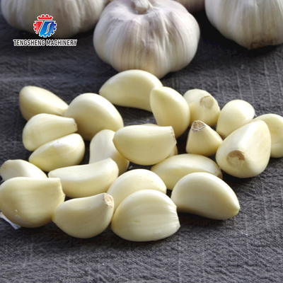 90KG Restaurants Power Saving Garlic Processing Machine Airflow Generation Garlic Sorting