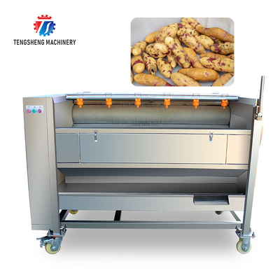 Potato Carrot Brush Cleaning And Peeling Machine 1200-1500KG/H