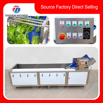 High Efficiency Fruits And Vegetables Washer For Dandelions Coriander