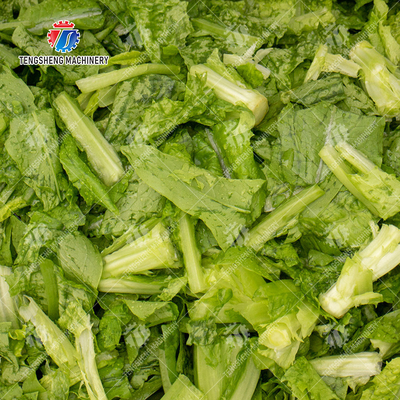 High Efficiency Fruits And Vegetables Washer For Dandelions Coriander
