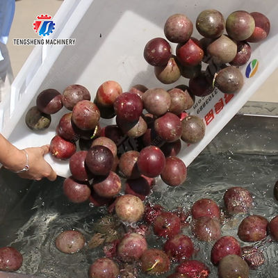 Revolutionize Your Production Process with Our Fruit And Vegetable Processing Line