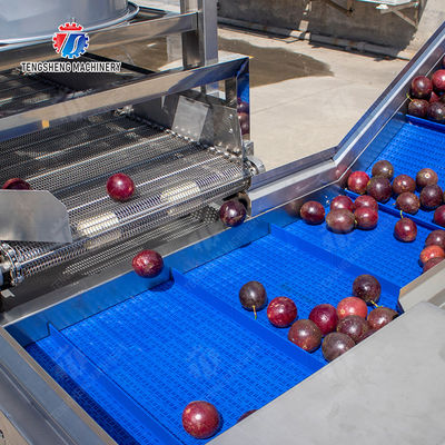 Revolutionize Your Production Process with Our Fruit And Vegetable Processing Line