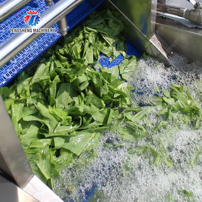 Orange Potato  Onions Ginger Potato Carrot Taro Sweet potato Yam Saiko persimmon papaya horseshoe 2025 Fruit and vegetable cutting, cleaning and air-drying production line