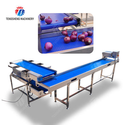 Conveyor Production Line Simplified Orange Potato  Onions Ginger Potato Carrot Taro Sweet potato Yam Saiko persimmon papaya horseshoe processing production Grading Transporting Machine