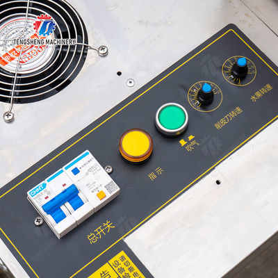 Persimmon peeling machine processing production Supplying Machine