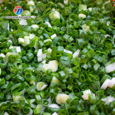 Chili Potato Carrot Taro Sweet potato Yam watermelon Hami Melon cucumber towel gourd balsam pear winter melon Desktop Vegetable Cutter Cutting processing production Supplying Machine