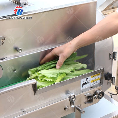 Double head vegetable cutting machine papaya chieh qua pumpkin wax gourd Ginger Potato Carrot radish Taro Sweet potato Yam onion Greens Lettuce Cao Xin Baby Cabbage Chinese Cabbage Cabbage processing