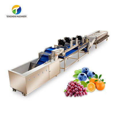 Circulating Hole Fruit Processing Line ,  Tengsheng Roller Conveying Vegetable Processing Line