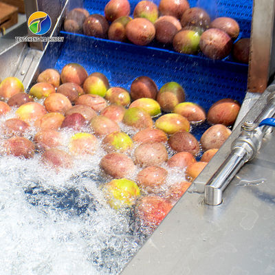 Circulating Hole Fruit Processing Line ,  Tengsheng Roller Conveying Vegetable Processing Line