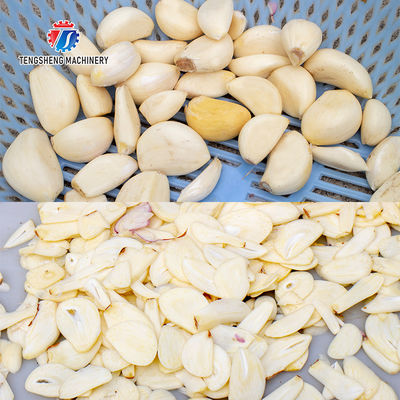Multifunction Onion Slicer Vegetable Cutting Machine 100KG/H Capacity