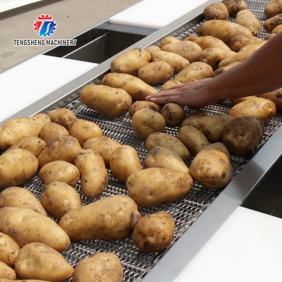 Spot vegetable sorting equipment commercial vegetable and fruit sorting table food factory line selection table
