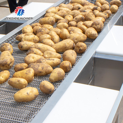 Spot vegetable sorting equipment commercial vegetable and fruit sorting table food factory line selection table