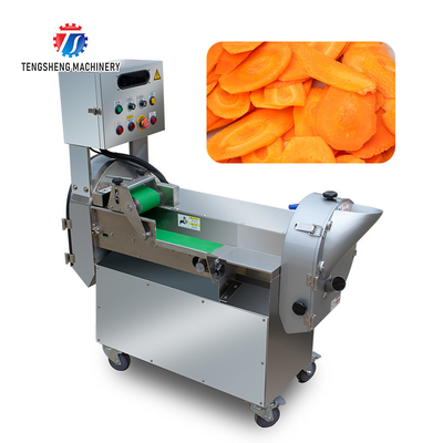 Tengsheng Infeed Chute Fruit Processing Machine Cucumber Lime Fracturing Avoidance