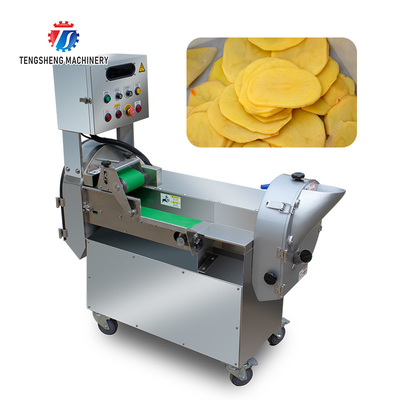 Tengsheng Infeed Chute Fruit Processing Machine Cucumber Lime Fracturing Avoidance