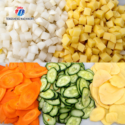 Tengsheng Infeed Chute Fruit Processing Machine Cucumber Lime Fracturing Avoidance