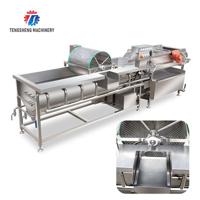 1000KG/H Vegetable cleaning equipment 304 stainless steel eddy current vegetable washing machine vibration drain machine