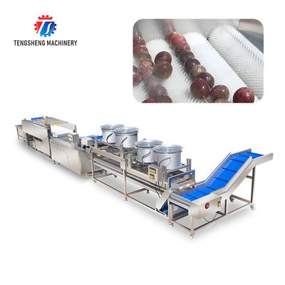Revolutionize Your Production Process with Our Fruit And Vegetable Processing Line