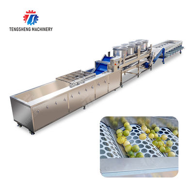 380V Fruit And Vegetable Processing Line Fully Automatic Cleaning Drying Grading
