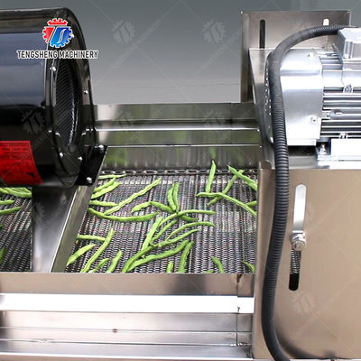 1000KG/H Fruit And Vegetable Processing Line Bubble Washing And Vibrating Drying