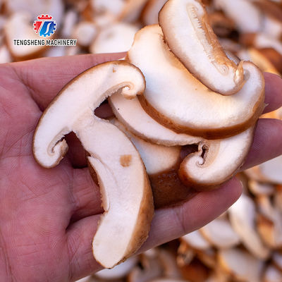 Mushroom slicer Wash Washer Washing Shiitake mushrooms Cleaning Dryer Cutting processing production Machine