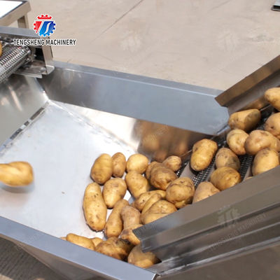 Potatoes Hoisting machine Fruit Saiko persimmon macadamia nut Apple Carrot radish Taro Sweet potato Yam cucumber towel gourd balsam pear winter melon chili okra Baby Cabbage Chinese Cabbage Cabbage