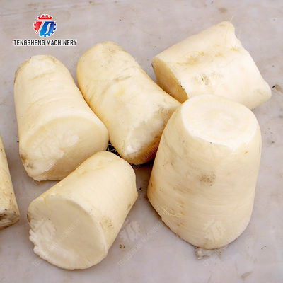 Fruit and vegetable slicing machine  Apple papaya chieh-qua pumpkin wax gourd Potato Carrot radish Taro watermelon Hami Melon cucumber towel gourd balsam pear Baby Cabbage Chinese Cabbage