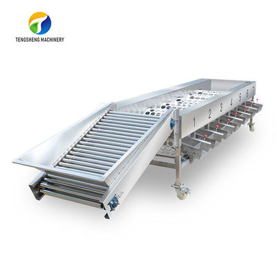 Circulating Hole Fruit Processing Line ,  Tengsheng Roller Conveying Vegetable Processing Line