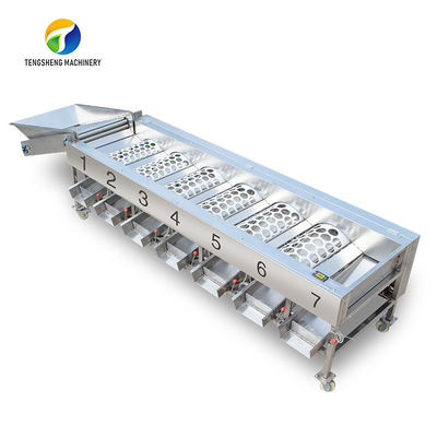 Circulating Hole Fruit Processing Line ,  Tengsheng Roller Conveying Vegetable Processing Line