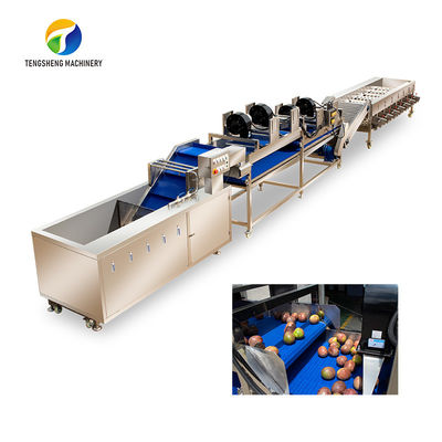 Tengsheng پاشش فشار قوی میوه و سبزیجات خط فرآوری تخریب باقیمانده صنعتی