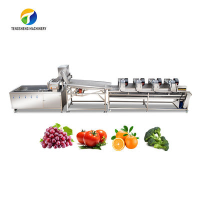 تجهیزات تخلیه ویبره خط تولید میوه و سبزیجات 4.5KW