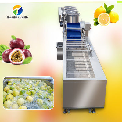 خط تولید مرتب سازی و خشک کردن حباب میوه شور