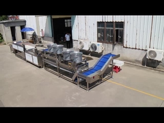 خط فرآوری میوه و سبزیجات خود را با ماشین برش موازی TS-M100 به سطح بعدی ببرید